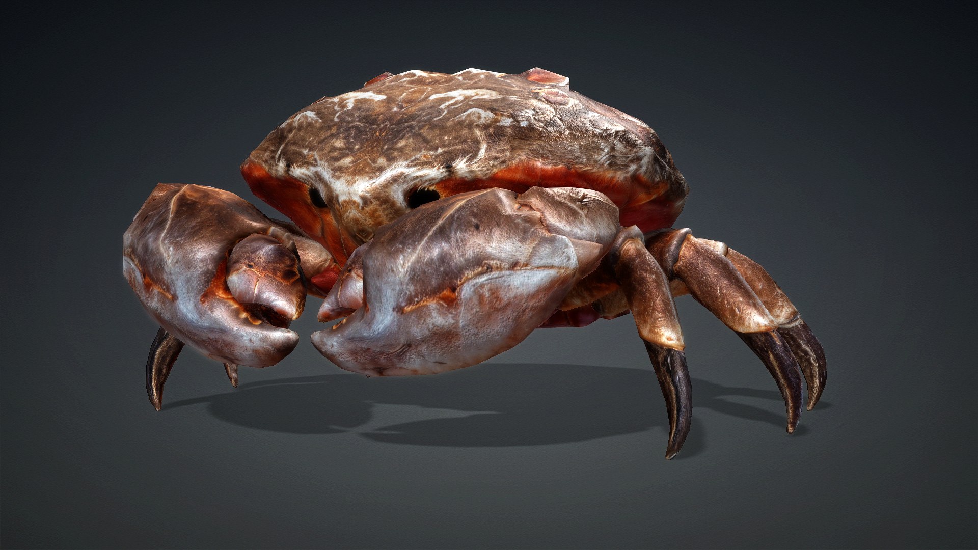 3D Crab Monster-V1b https://p.turbosquid.com/ts-thumb/jJ/ZqFfbC/aW/preview0/jpg/1769138933/1920x1080/fit_q87/c1134963094e414771e63d7216ab95273d38713e/preview0.jpg