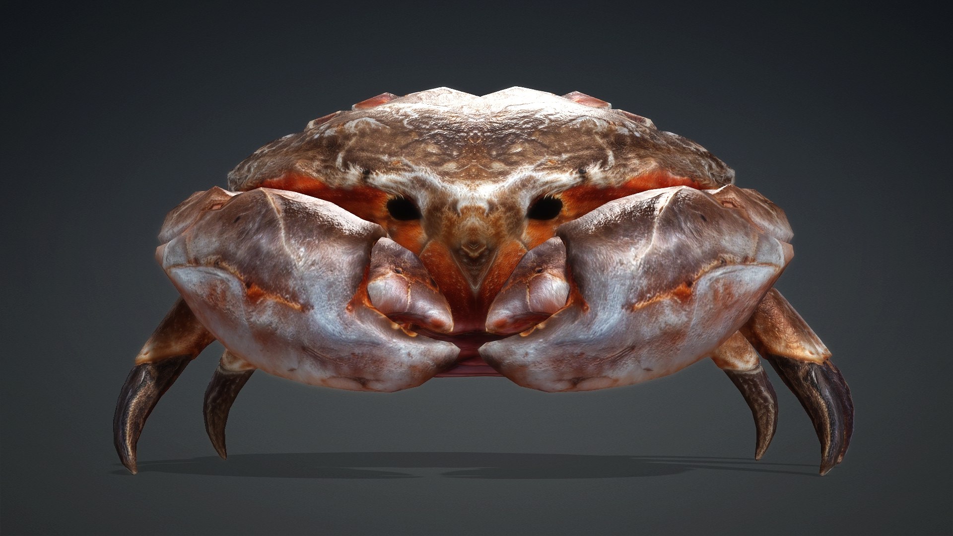 3D Crab Monster-V1b https://p.turbosquid.com/ts-thumb/jJ/ZqFfbC/gE/preview2/jpg/1769138941/1920x1080/fit_q87/1baf4ea271f3fb7fdd2e3ed2c7fd50fc4d17c121/preview2.jpg