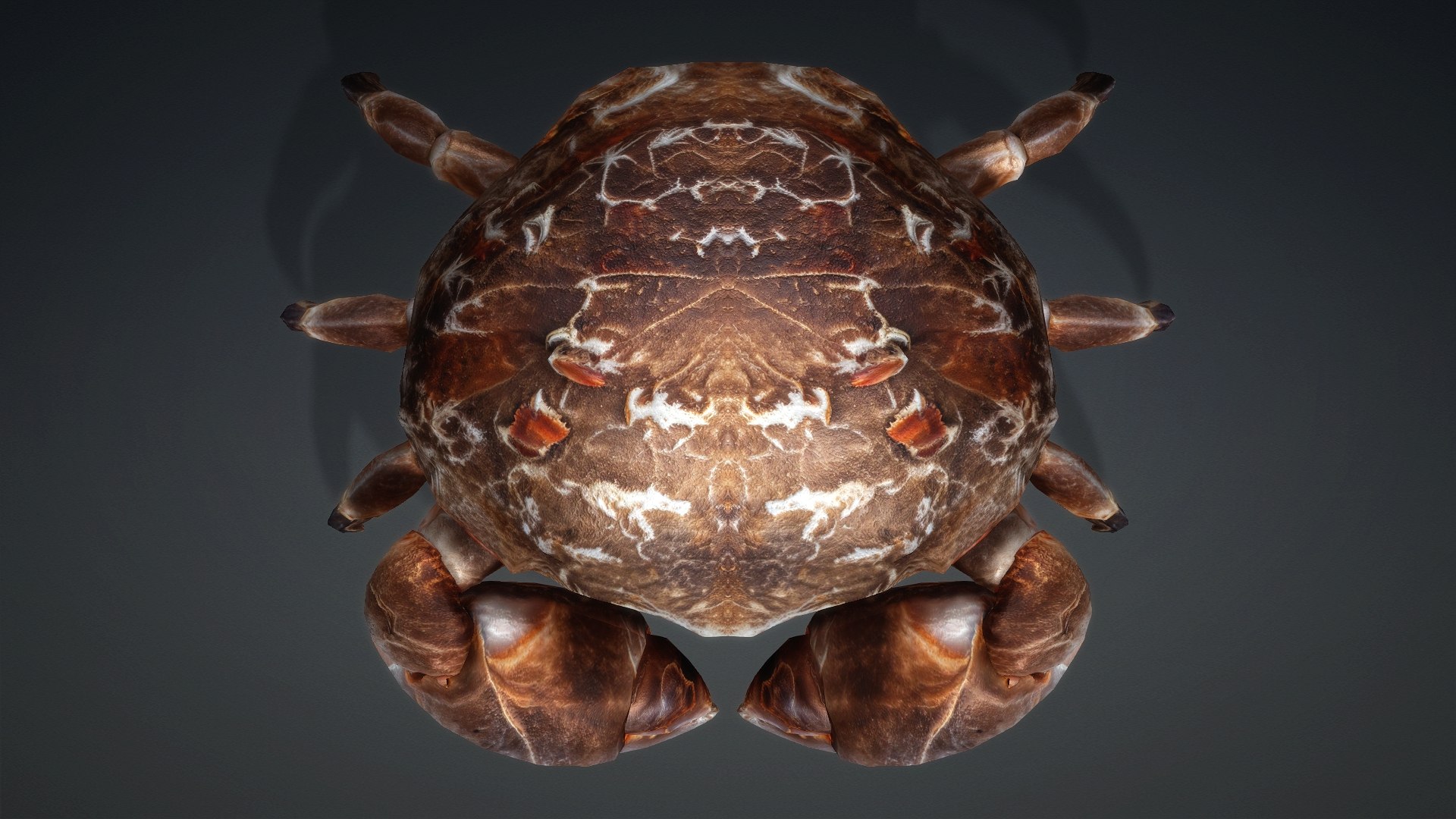 3D Crab Monster-V1b https://p.turbosquid.com/ts-thumb/jJ/ZqFfbC/ua/preview5/jpg/1769138945/1920x1080/fit_q87/70c04027fd4f280237a3835a5c6ab0afa8bf3326/preview5.jpg
