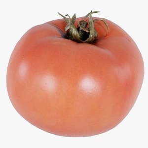 3D Tomato 2 Remastered