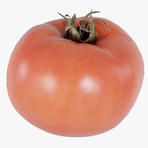 Tomato 2 Remastered