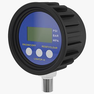 Digital Gauge