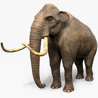 Mammoth