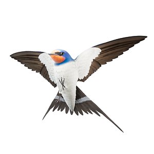 3D model realistic barn swallow hirundo