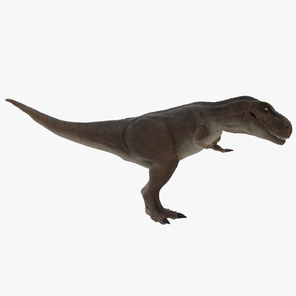 Modelo 3d Tyrannosaurus Rigged - TurboSquid 1916202