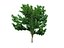 22_low_poly_trees