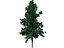 22_low_poly_trees