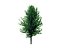 22_low_poly_trees