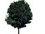 22_low_poly_trees