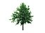 22_low_poly_trees