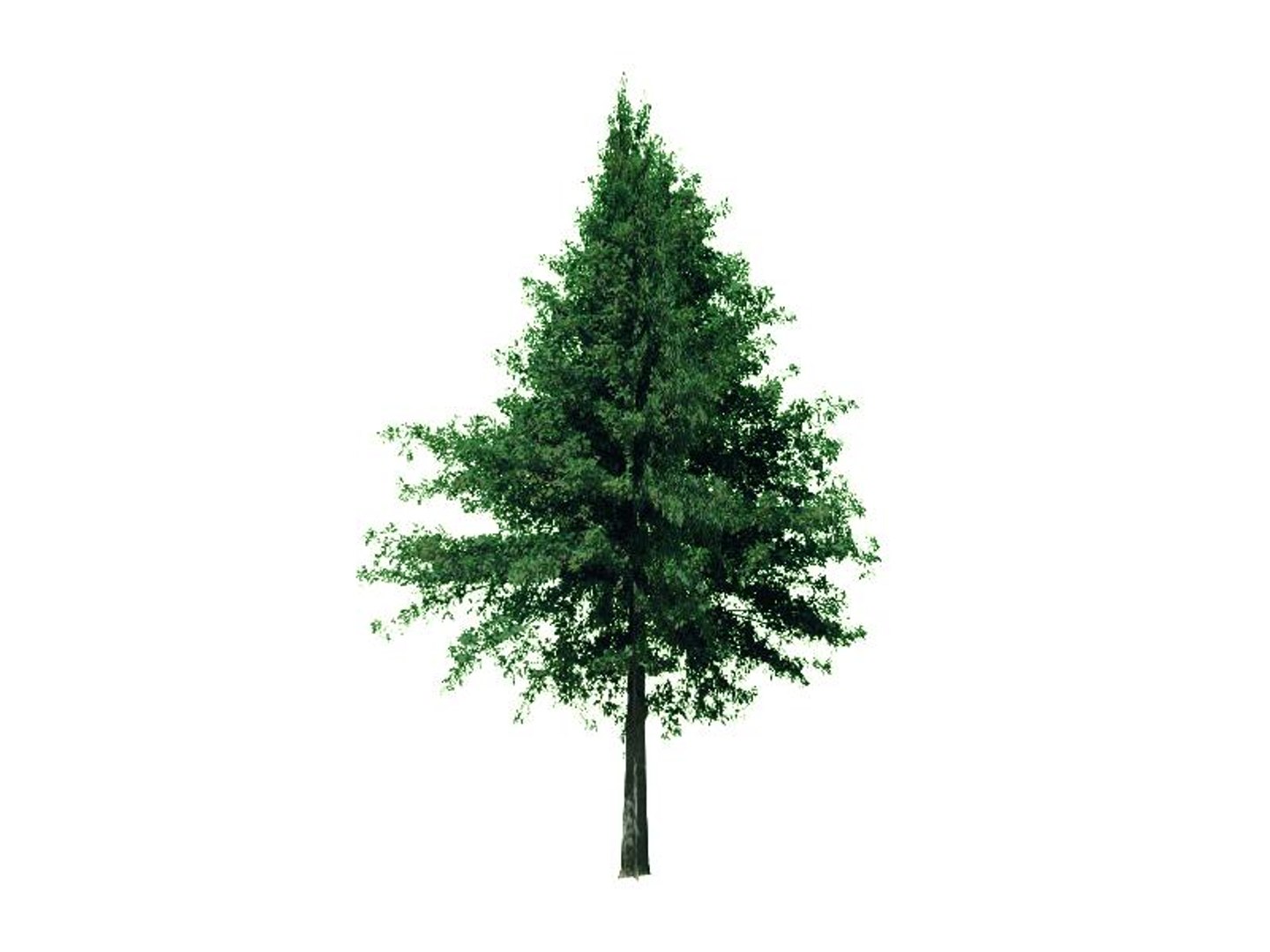 maya 22 trees https://p.turbosquid.com/ts-thumb/jK/2IhJqZ/RxmDrJiQ/pinoak/jpg/1134145590/1920x1080/fit_q87/5815161feafebeaf4c9ee611005d3184f261b0f9/pinoak.jpg