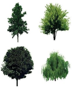 22_low_poly_trees