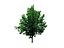22_low_poly_trees
