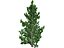 22_low_poly_trees