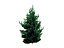 22_low_poly_trees