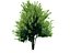 22_low_poly_trees