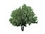 22_low_poly_trees