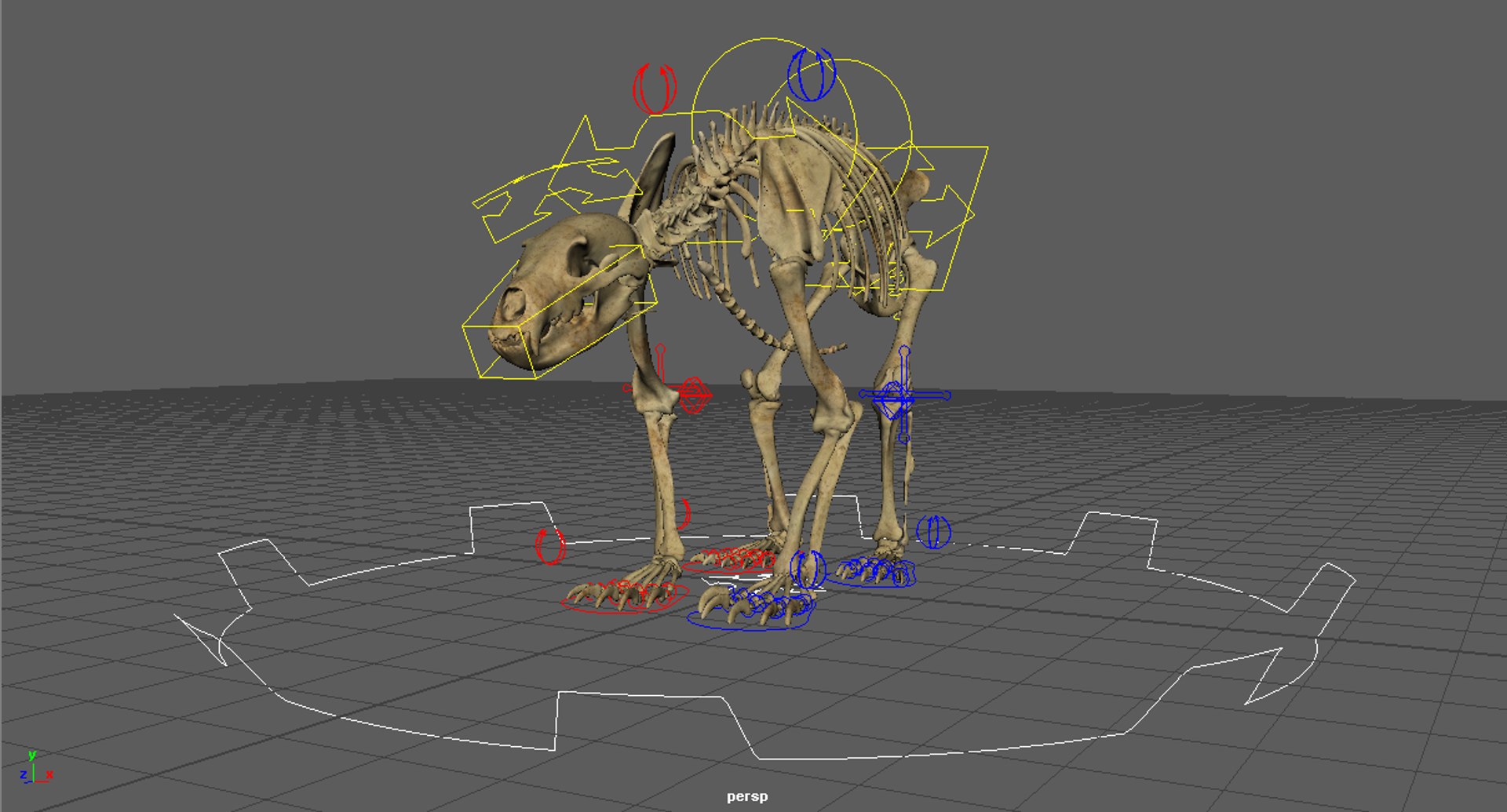 3D Realistic Bear Skeleton Rigging - TurboSquid 1410920