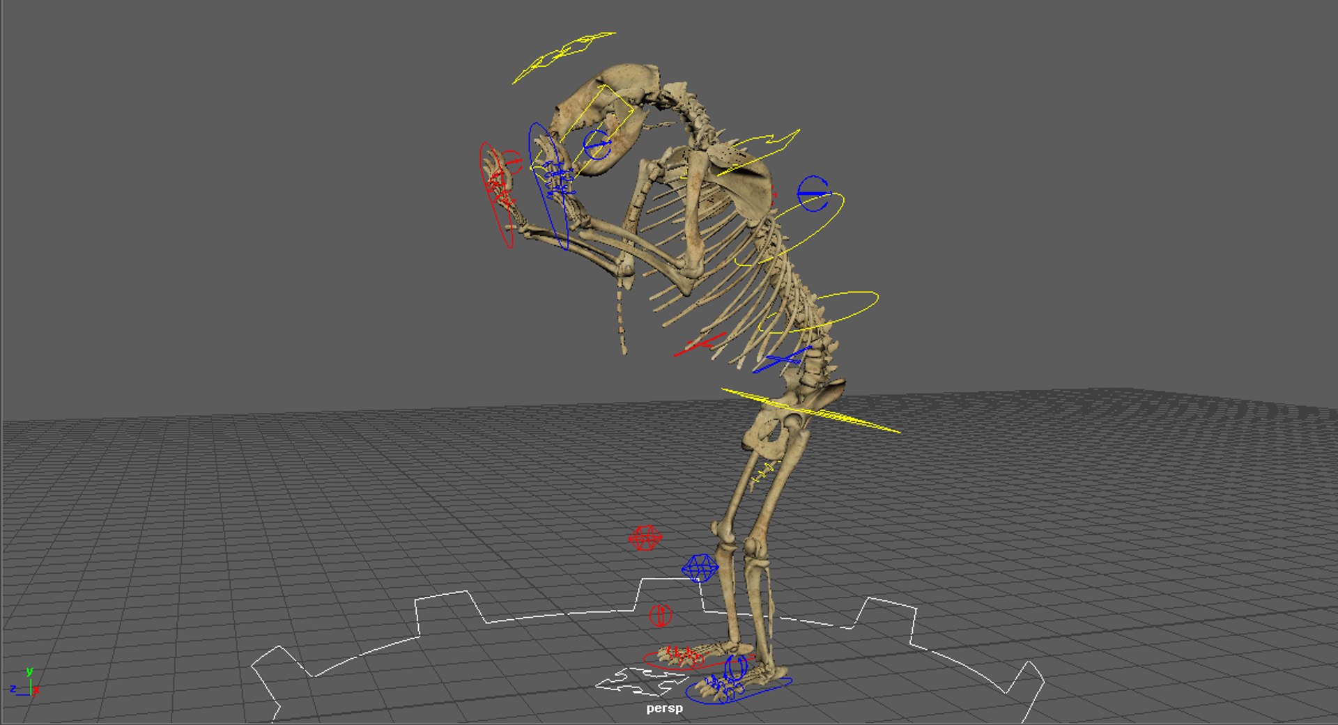 3D Realistic Bear Skeleton Rigging - TurboSquid 1410920