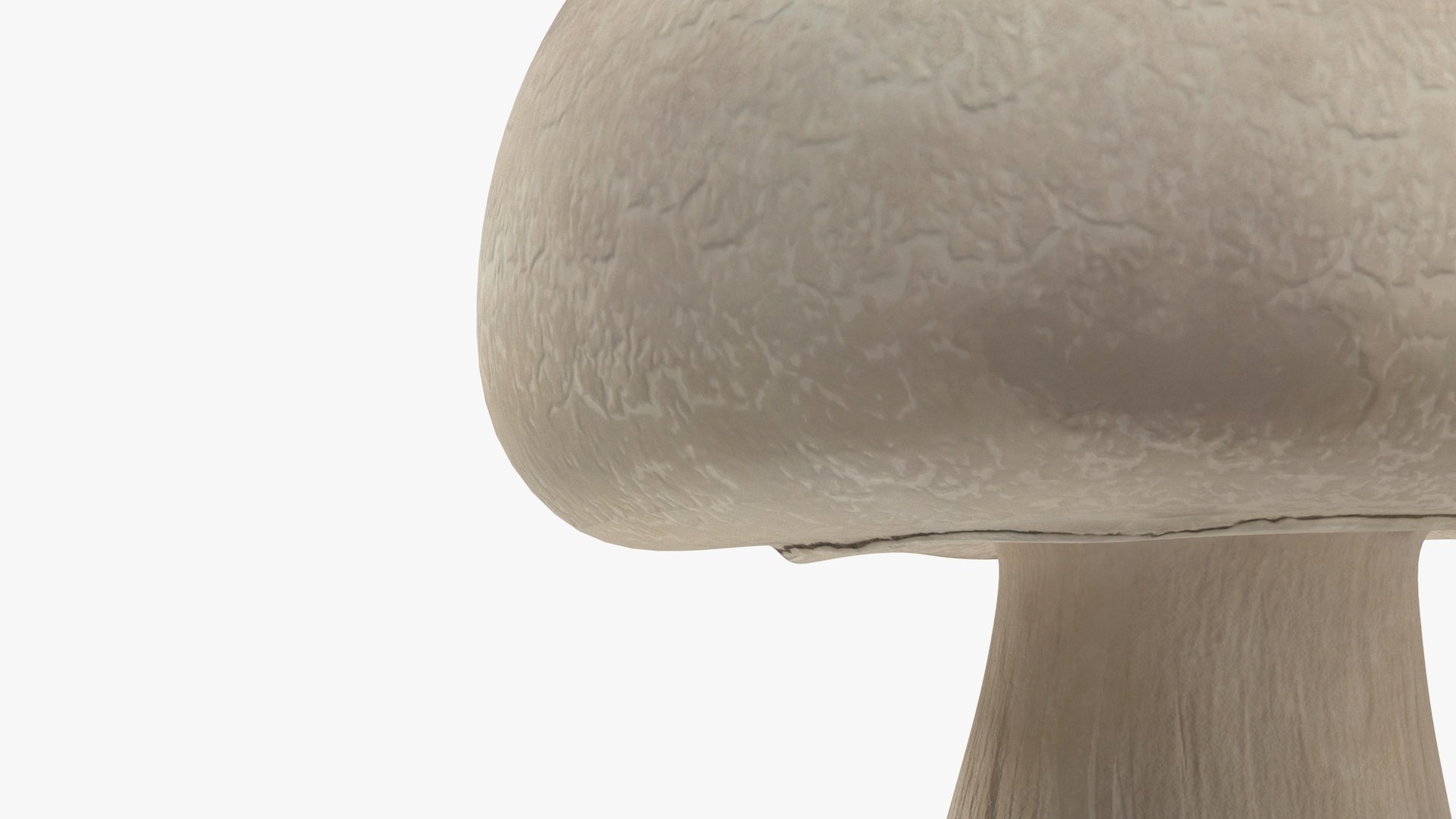Champignon 3D model https://p.turbosquid.com/ts-thumb/jK/6y4mng/Ar/champignonc4dmodel013/jpg/1712872535/1920x1080/fit_q87/0ef0c3699280f2220b96bff5975fcd10bcb39682/champignonc4dmodel013.jpg