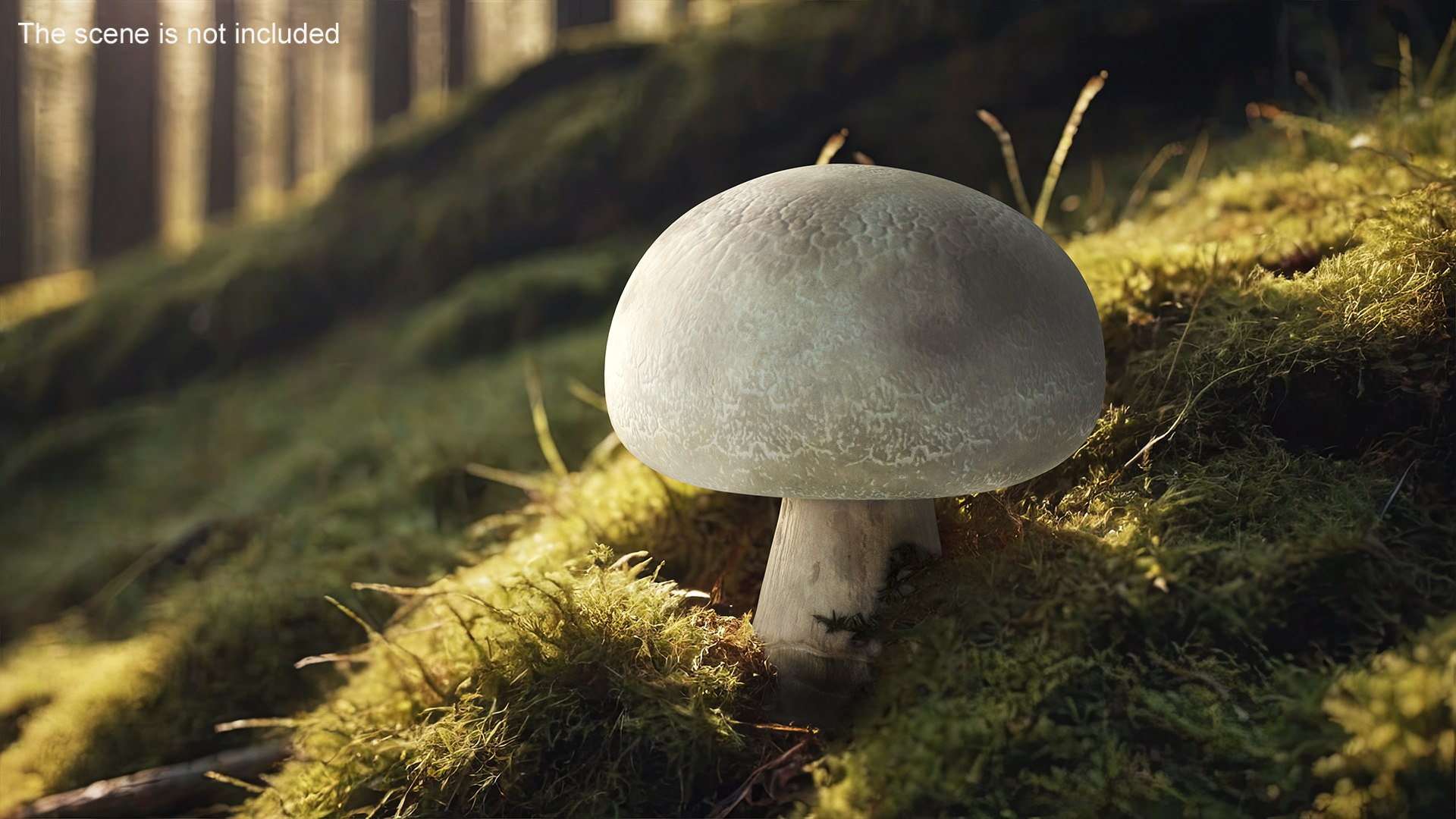 Champignon 3D model https://p.turbosquid.com/ts-thumb/jK/6y4mng/CB/champignonc4dmodel006/jpg/1712872507/1920x1080/fit_q87/f0112daf1e81ff762ea397460d62393bbfa06e5d/champignonc4dmodel006.jpg