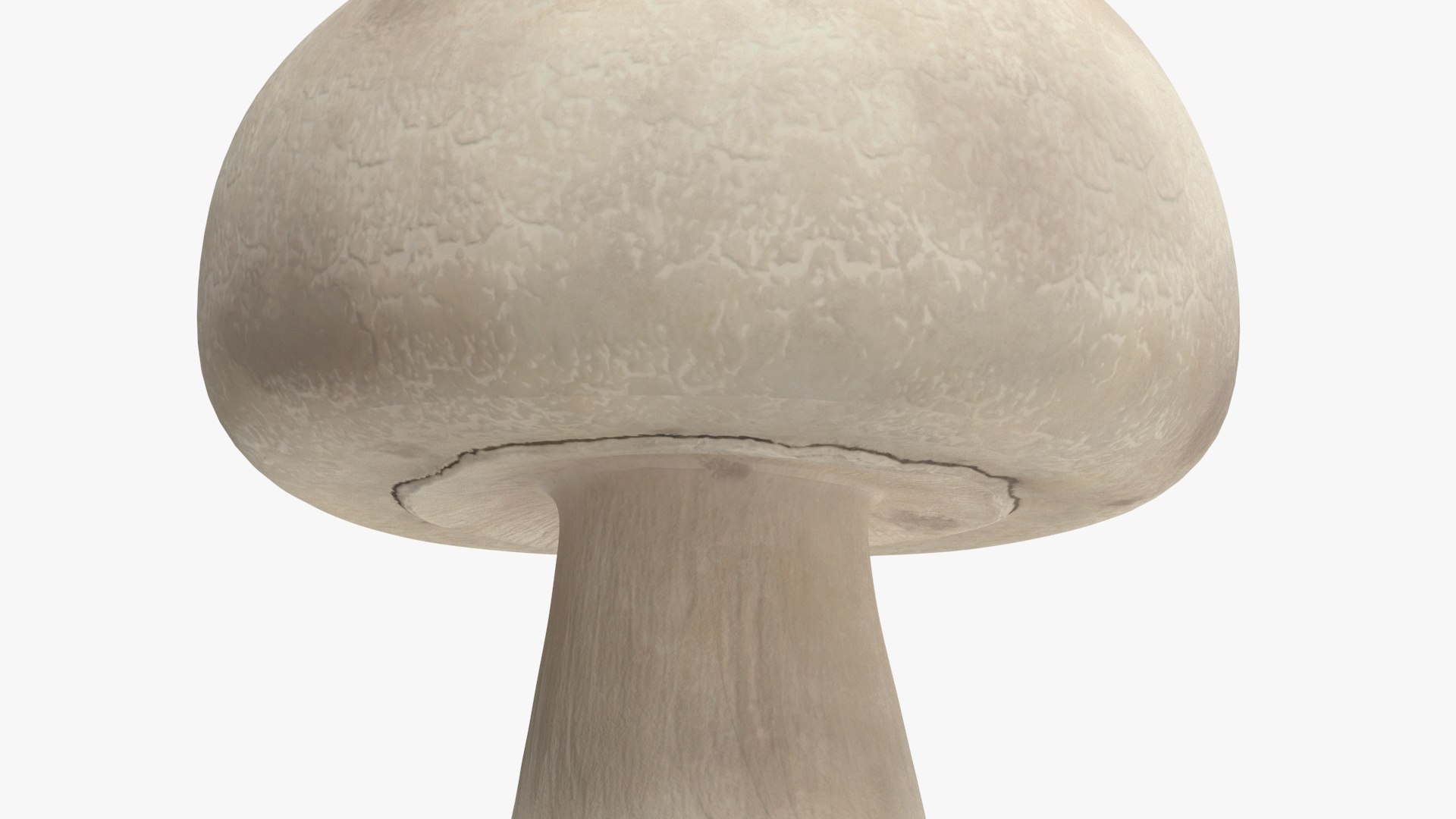 Champignon 3D model https://p.turbosquid.com/ts-thumb/jK/6y4mng/F3/champignonc4dmodel011/jpg/1712872526/1920x1080/fit_q87/441c7b54458f4bedf5b1e010ad689b4413ddbb6a/champignonc4dmodel011.jpg