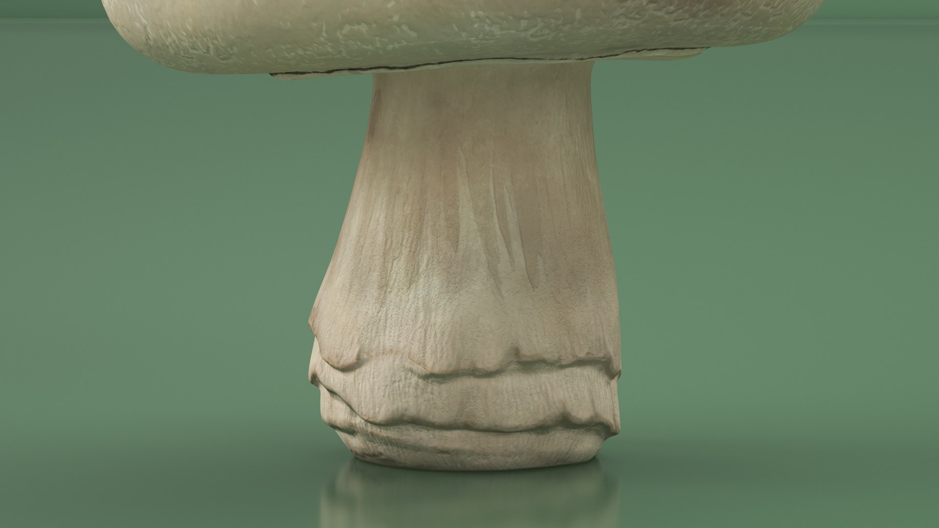 Champignon 3D model https://p.turbosquid.com/ts-thumb/jK/6y4mng/bW/champignonc4dmodel009/jpg/1712872517/1920x1080/fit_q87/88be6c1540312eaba147961b2acb181bdb5d1fc1/champignonc4dmodel009.jpg
