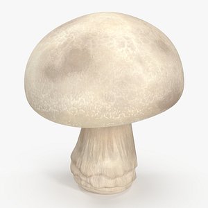 Champignon 3D model