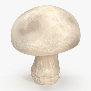 Champignon