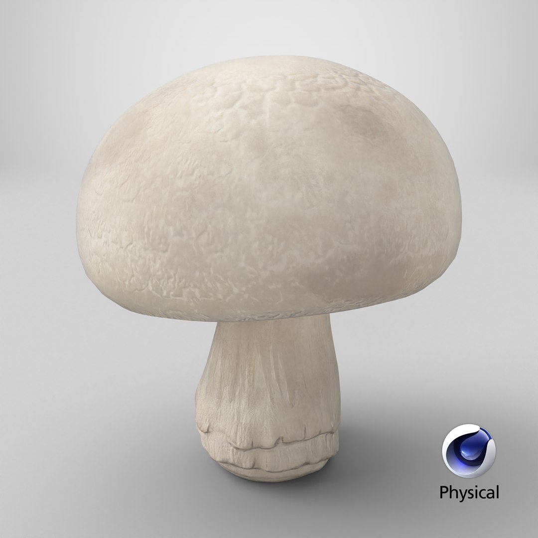 Champignon 3D model https://p.turbosquid.com/ts-thumb/jK/6y4mng/dj/stemcell_cinema_4d_physical_render/png/1715839056/1920x1080/fit_q87/0807adedc953335653a21ca5ade6a7522656b222/stemcell_cinema_4d_physical_render.jpg