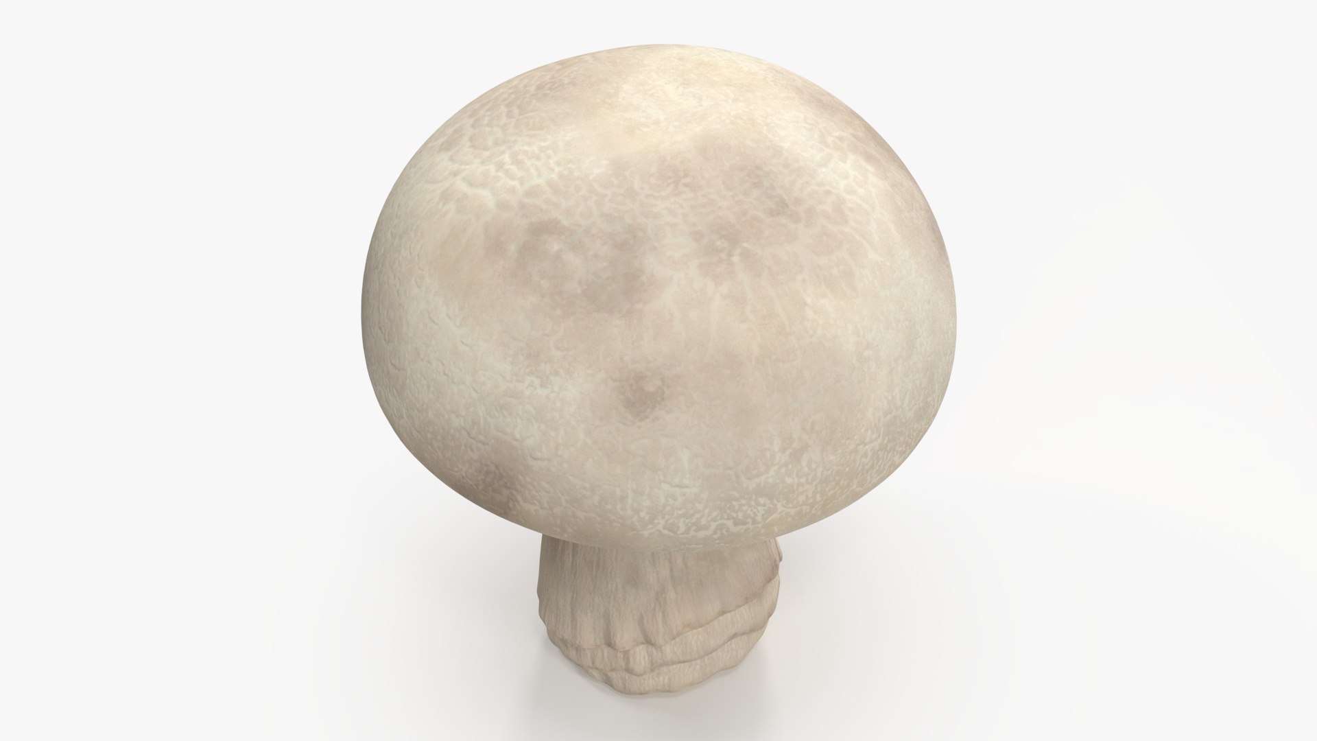 Champignon 3D model https://p.turbosquid.com/ts-thumb/jK/6y4mng/o2/champignonc4dmodel012/jpg/1712872530/1920x1080/fit_q87/169fdb35086060c748aea75ee1b5242460f713e8/champignonc4dmodel012.jpg