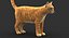 cat fur 2 model