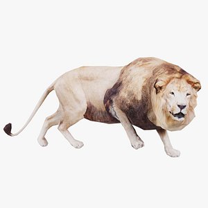 3D Lion Remastered