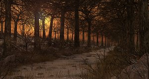 forest sunset path 3D