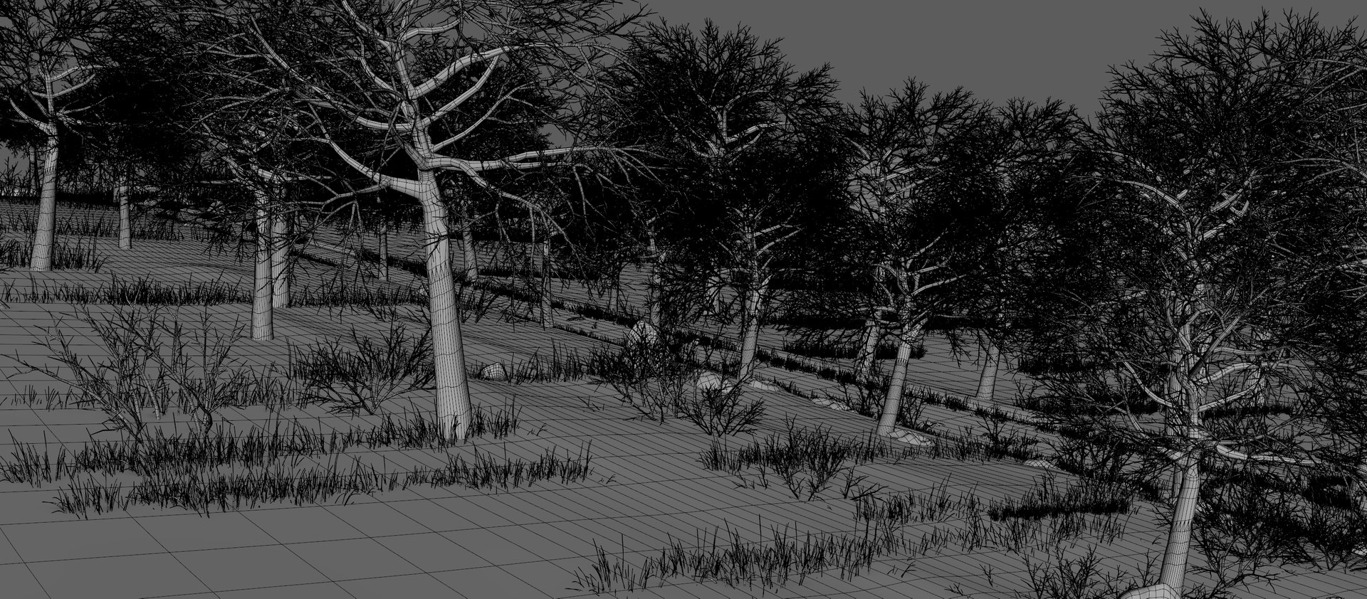 Forest Sunset Path 3D - TurboSquid 1503993