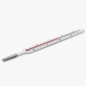 Clinical Thermometer 3D model