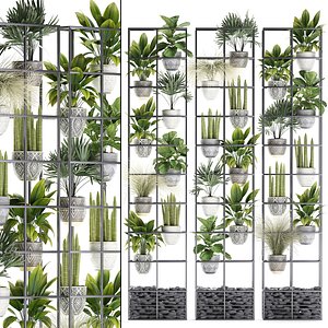 3D vertical garden plants palm