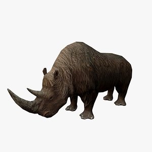 Wolly Rhinoceros Low poly - Animated