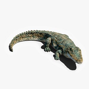 crocodile