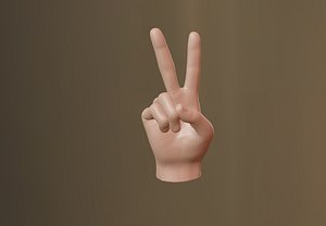 Peace Hand Sign