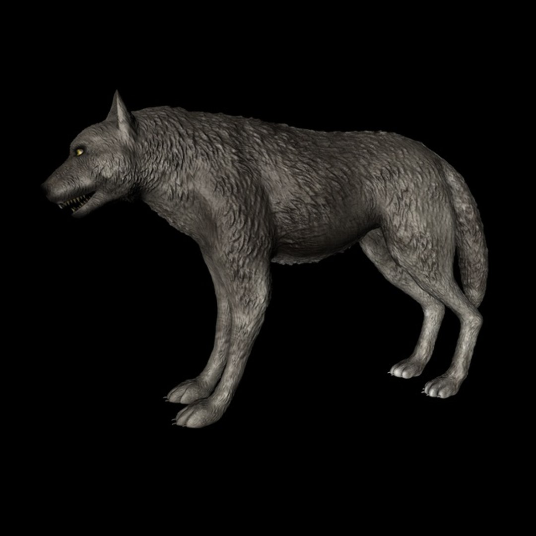 3d grey wolf https://p.turbosquid.com/ts-thumb/jK/wVFEIg/LOoBd0OE/006timberwolf1440/jpg/1426087739/1920x1080/fit_q87/c6d8b367193e35c6cce77c1aa5b8471cad84169c/006timberwolf1440.jpg