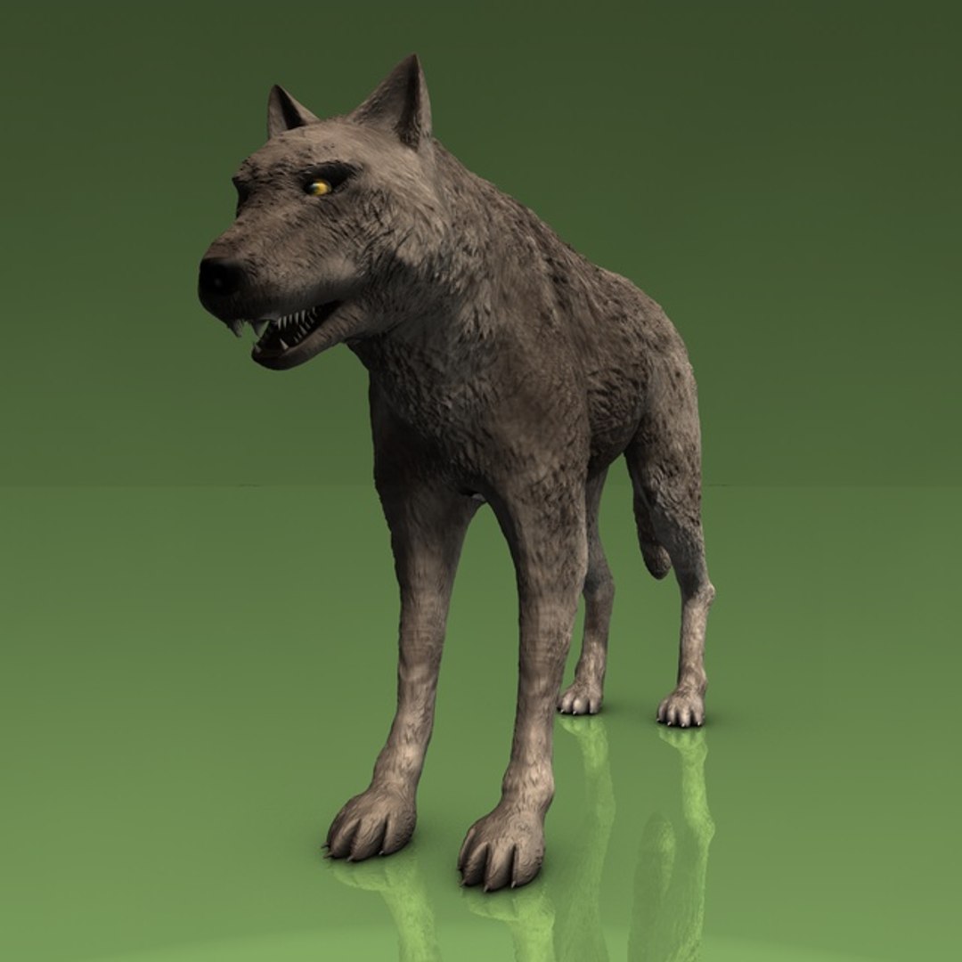 3d grey wolf https://p.turbosquid.com/ts-thumb/jK/wVFEIg/WCB66wlW/002timberwolf1440/jpg/1426087739/1920x1080/fit_q87/73d3928599ababa5b128b5a6874bcc4bcaf59a29/002timberwolf1440.jpg
