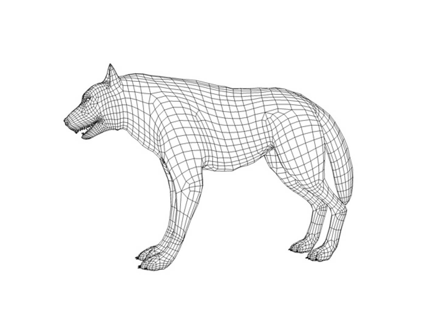 3d grey wolf https://p.turbosquid.com/ts-thumb/jK/wVFEIg/geW9wXuu/007timberwolf1440/jpg/1426087739/1920x1080/fit_q87/5711fa1678a6a1e3e508f22acd0ca031b0f44705/007timberwolf1440.jpg