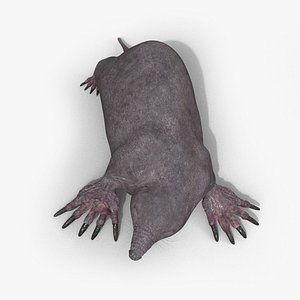 3D mole rigged