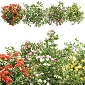 Flowering Bush Vol 359 3D Plant Model 3D model