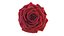 Realistic Rose 3D Model - High-Quality 4K PBR Asset