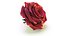 Realistic Rose 3D Model - High-Quality 4K PBR Asset