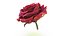 Realistic Rose 3D Model - High-Quality 4K PBR Asset