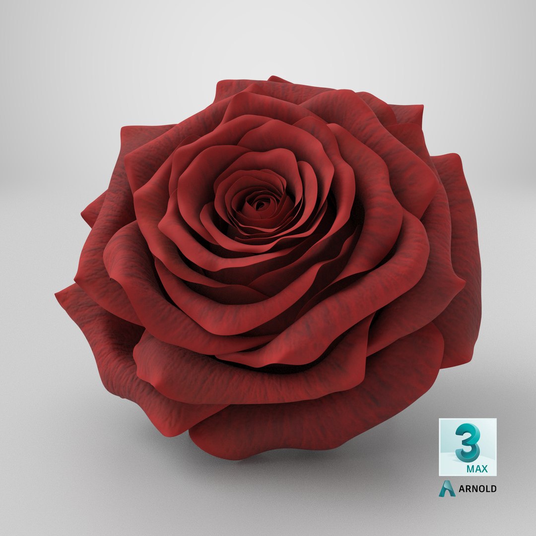 Realistic Rose 3D Model - High-Quality 4K PBR Asset 3D model https://p.turbosquid.com/ts-thumb/jL/7vwdfJ/NQ/stemcell_max_arnold_render/png/1740499121/1920x1080/fit_q87/70adb6c9ba4ffb852bb2fc549741097293b62a49/stemcell_max_arnold_render.jpg