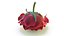 Realistic Rose 3D Model - High-Quality 4K PBR Asset